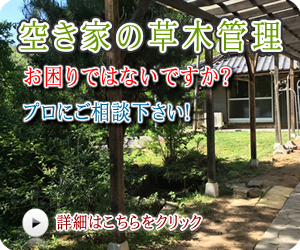 空き家/草木の管理