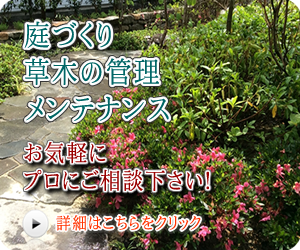 庭づくり/草木の管理/メンテナンス